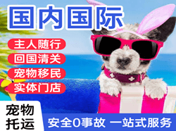 丹东浪头空运国际宠物托运 【国